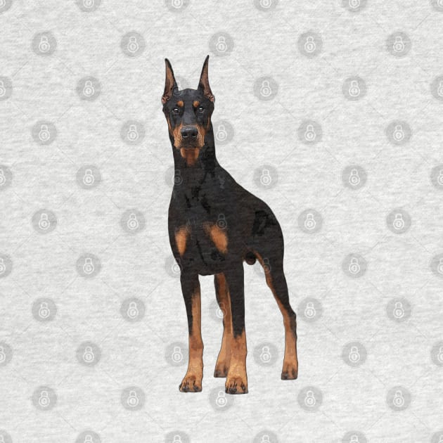 Doberman Pinscher Dog Elegance by ElegantCat